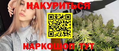 Альфа ПВП Будённовск