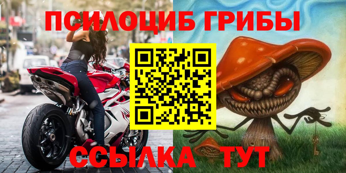 Псилоцибиновые грибы Psilocybe  Вход с VPN  Чапаевск 